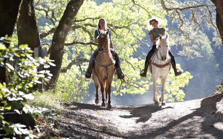 Άνοιξε τον χάρτη